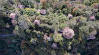 I Luoghi del Cuore - Sacro Monte di Crea