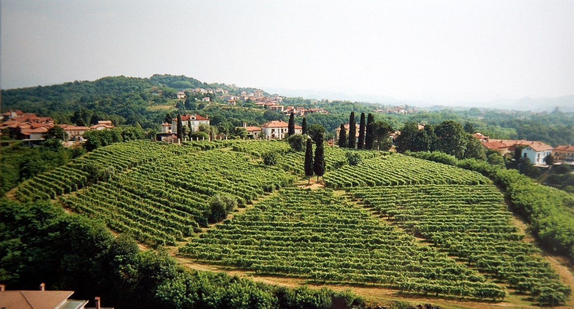 AZIENDE AGRICOLE SELLA, CASA SAN SEBASTIANO ALLO ZOPPO 