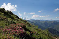 Oasi Zegna, OASI ZEGNA, TRIVERO, BIELLA