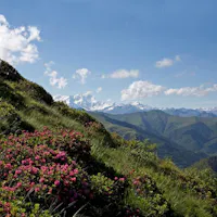 OASI ZEGNA | ph. FAI | © Archivio Fondazione Zegna Oasi Zegna, OASI ZEGNA, TRIVERO, BIELLA