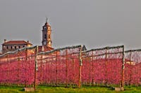 Castelli Tapparelli d'Azeglio