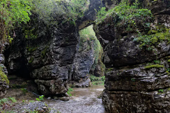 PARCO NATURALE DEL MONTE FENERA