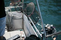 MESSA IN POSA COZZE MESSA IN POSA COZZE