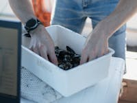 MESSA IN POSA COZZE MESSA IN POSA COZZE