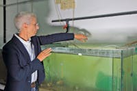 I Luoghi del Cuore - Lago d'Orta e il suo ecosistema I Luoghi del Cuore - Lago d'Orta e il suo ecosistema