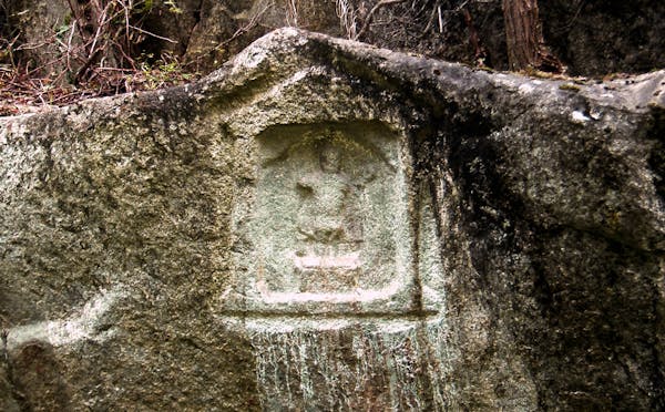 BOSCO DEL MAOMETTO