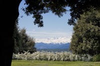 , CASTELLO E PARCO DI MASINO, CARAVINO, TORINO