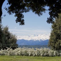 CASTELLO E PARCO DI MASINO | ph. Dario Fusaro | © FAI - Fondo Ambiente Italiano , CASTELLO E PARCO DI MASINO, CARAVINO, TORINO