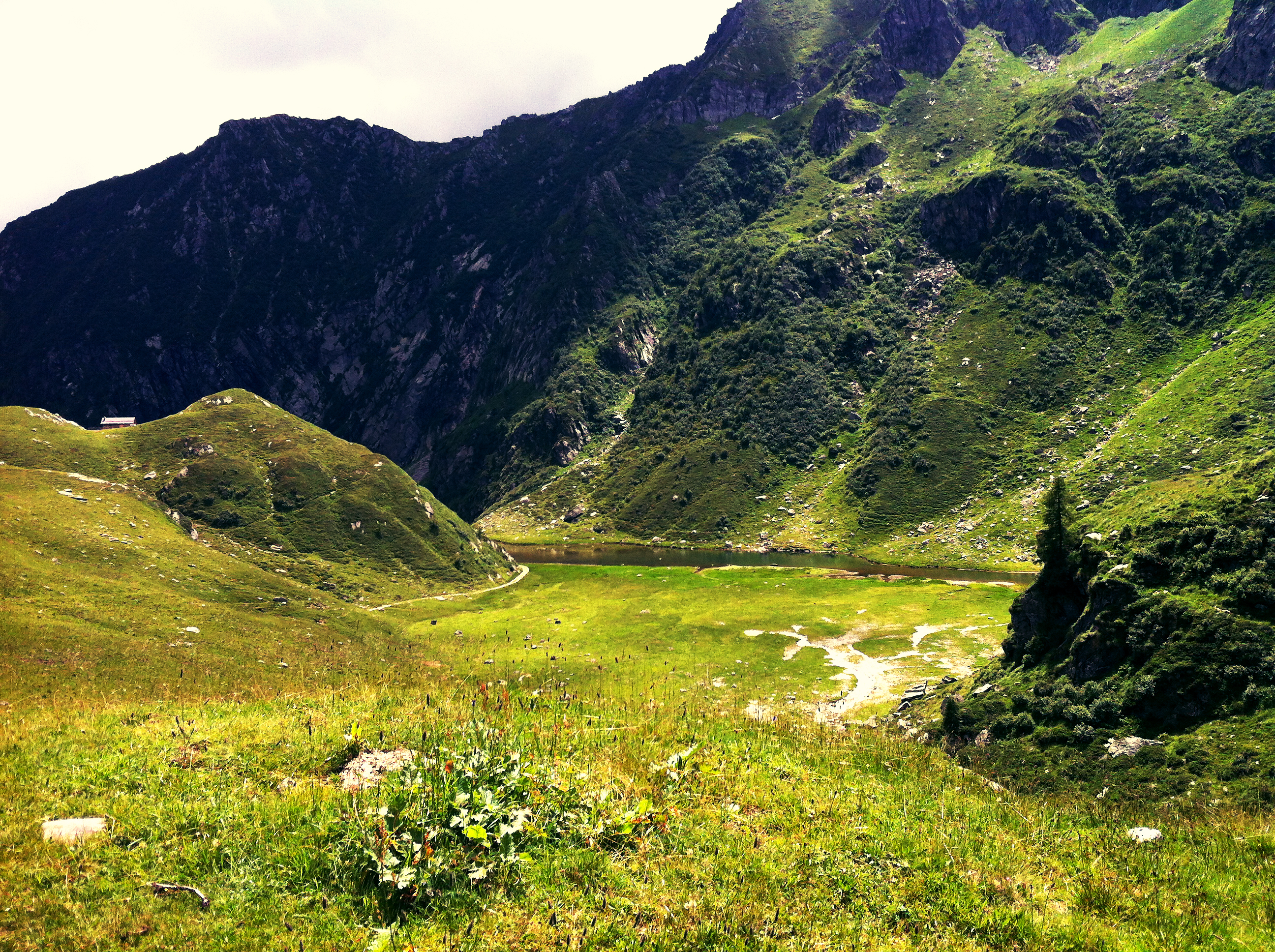 ALPE BARANCA