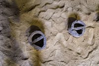 fonderia - fusione in corso