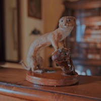 MUSEO FILIPPPA MUSEO FILIPPPA