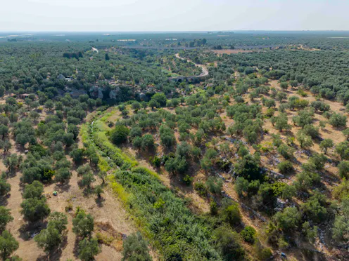 LE LAME DI PUGLIA