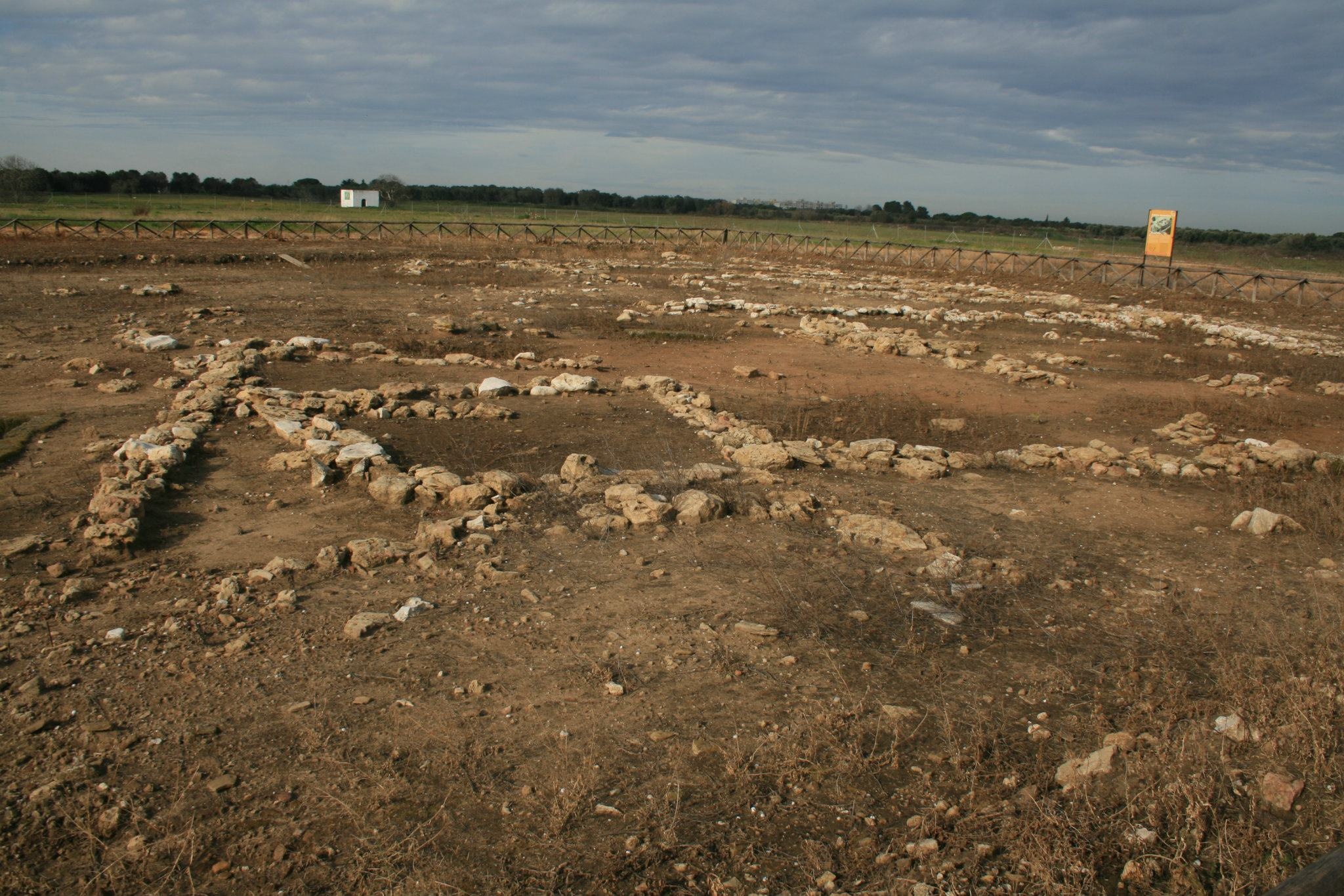 MURO TENENTE