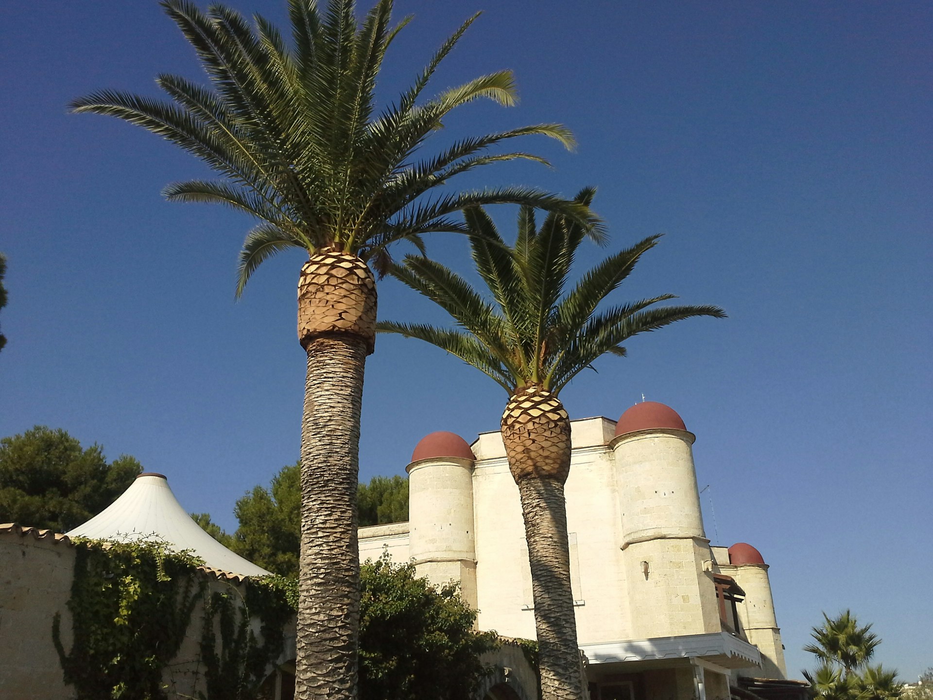 VILLA TORRE CARACCIOLO I Luoghi del Cuore FAI