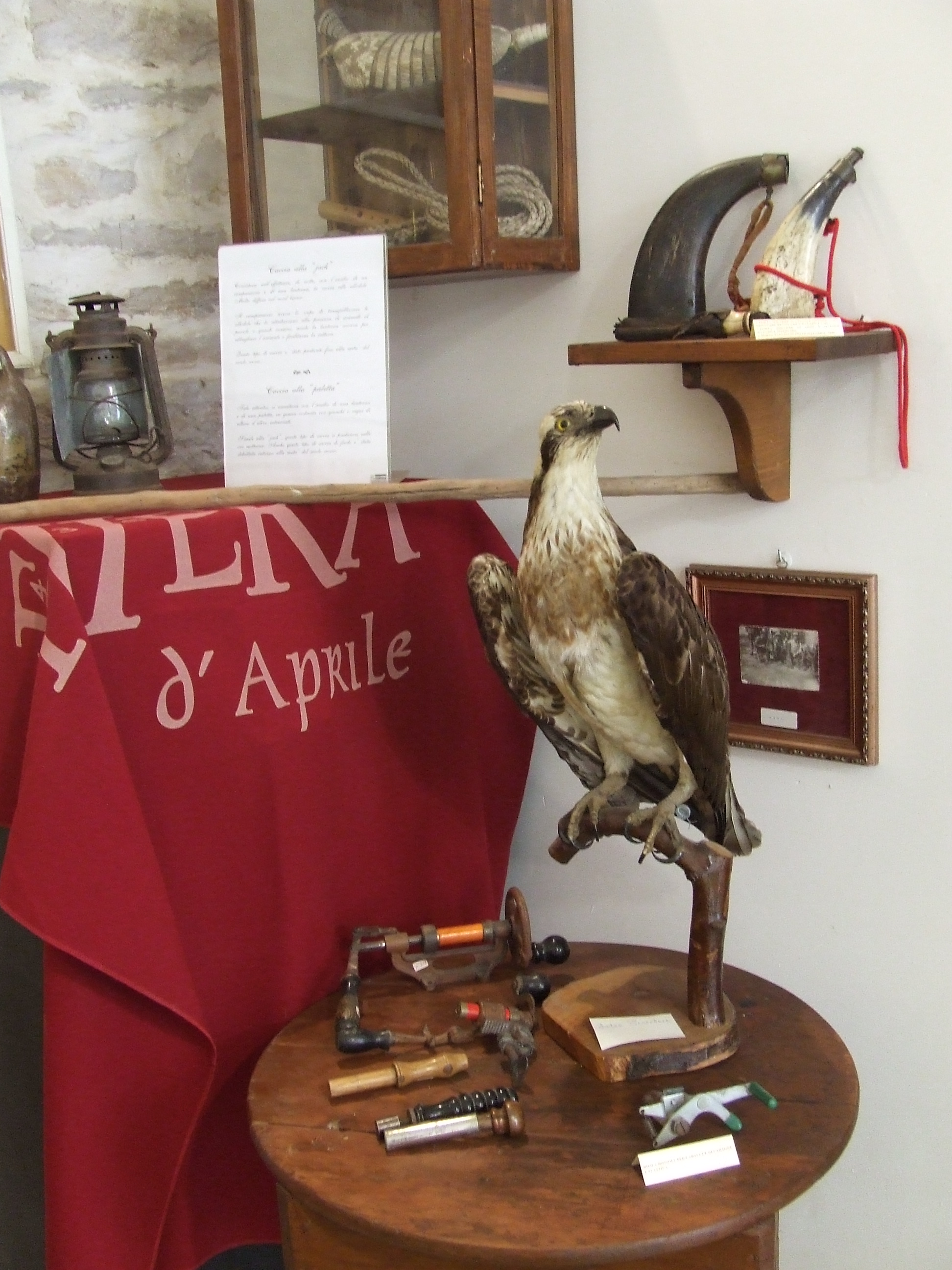 MUSEO D'ARTE VENATORIA - MU.D'AV.