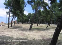 LA PINETA COMUNALE, PARCO 