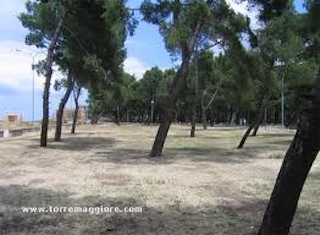 LA PINETA COMUNALE, PARCO LA PINETA COMUNALE, PARCO