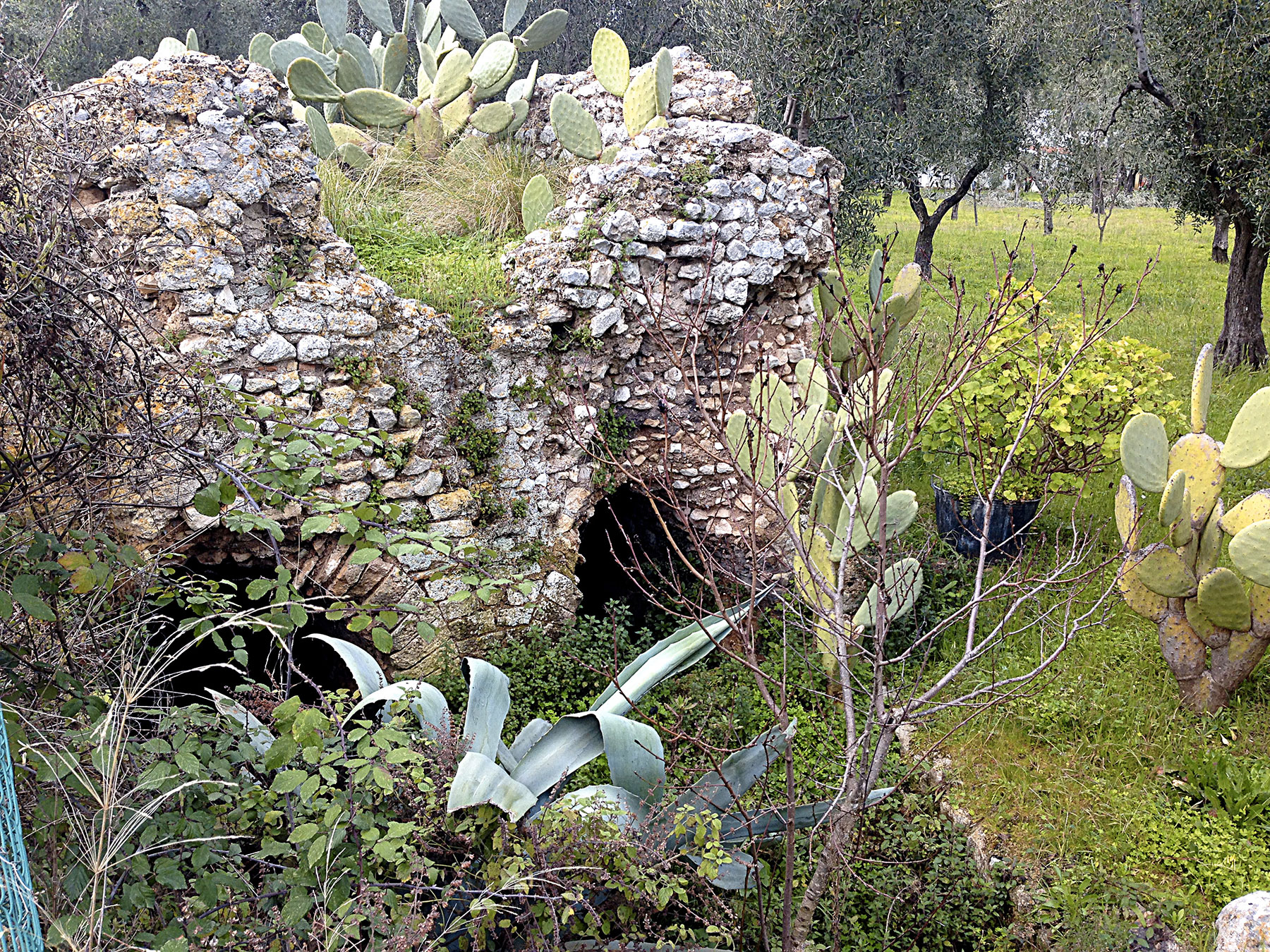 VILLA ROMANA DI SANTA MARIA DI MERINO