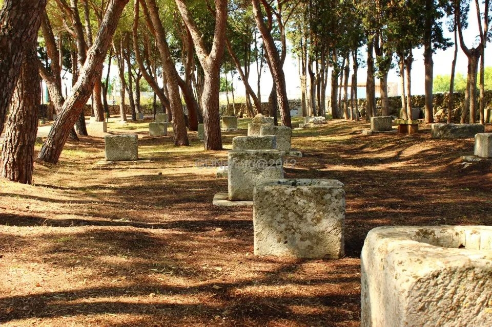 PARCO POZZELLE