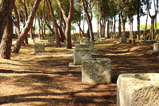 PARCO POZZELLE