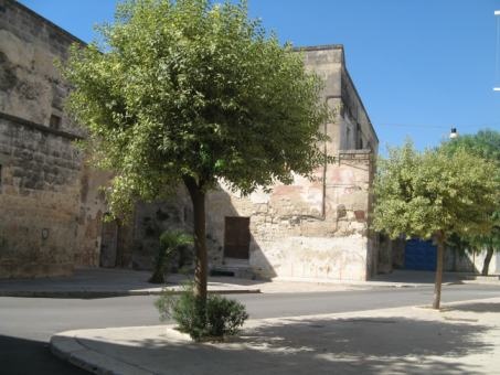 PALAZZO BARONALE I Luoghi del Cuore FAI