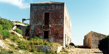 CAVA USAI
