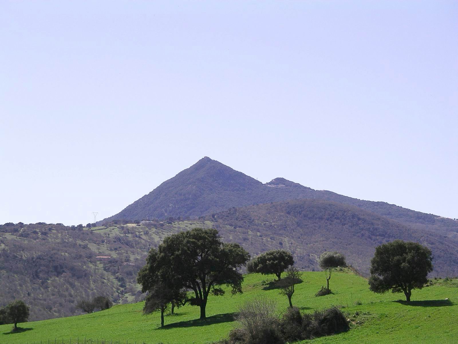 SANTUARIO DEL MONTE GONARE