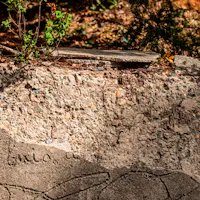 ULASSAI-ldc ULASSAI-ldc