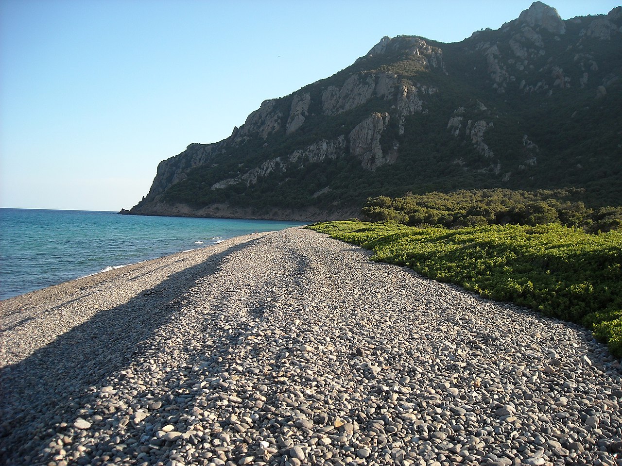 coccorocci