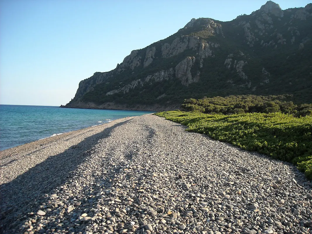 coccorocci coccorocci