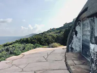 antonioni