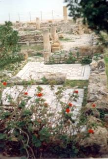 VILLA ROMANA