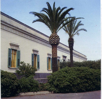 CENTRO DI RICERCA PER L'AGRUMICOLTURA E LE COLTURE MEDITERRANEE (CRA - ACM)