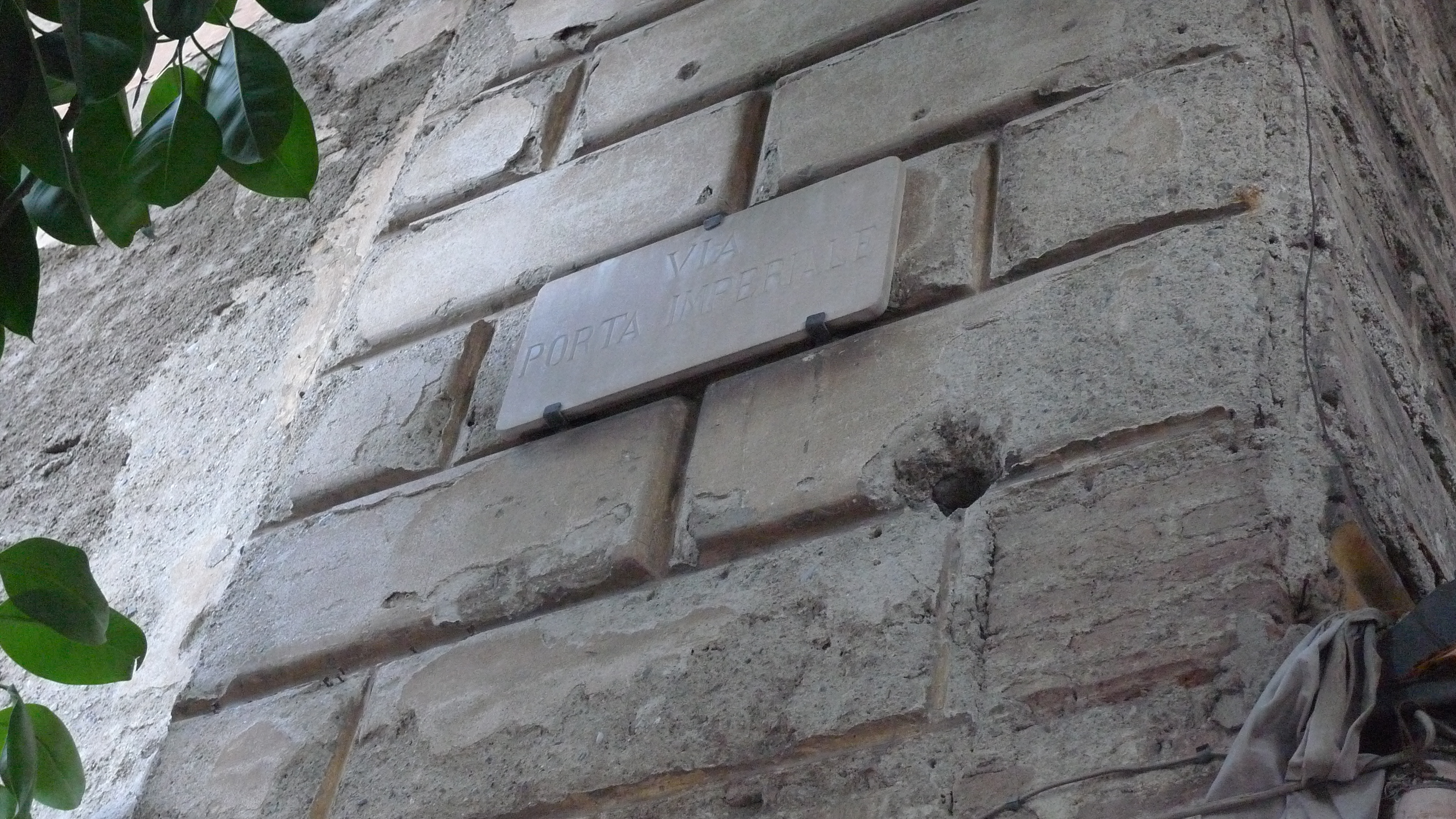 CASA DELL'ELEFANTE