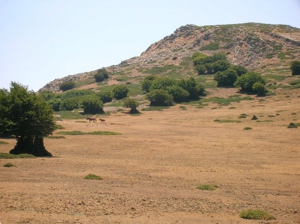 PARCO DELLE MADONIE I Luoghi del Cuore FAI