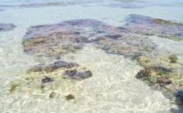 ISOLA DELLE FEMMINE