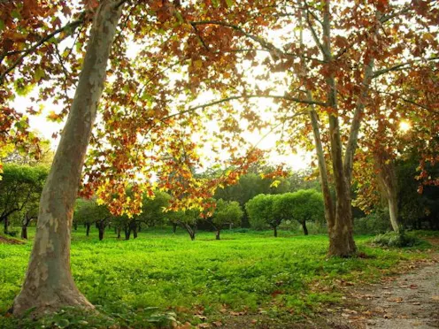 PARCO DELLA FAVORITA