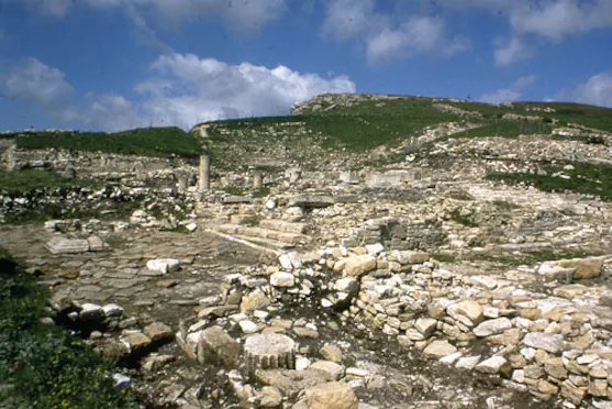 MONTE JATO