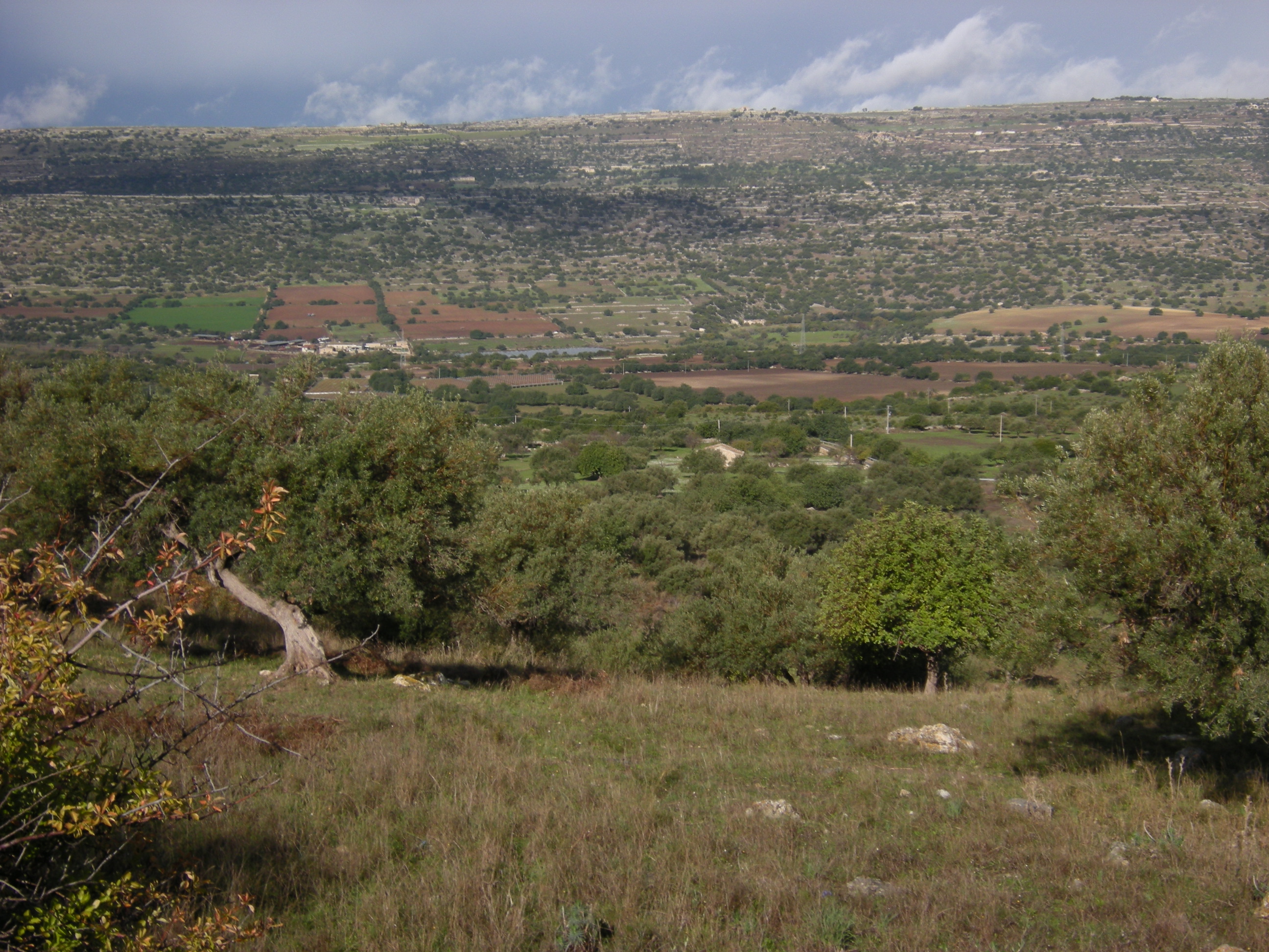 CAVE DI CALCARENITE