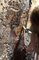 chiesa rupestre del crocifisso a Lentini