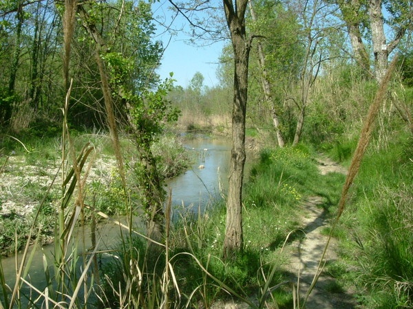 SPIAGGIA DELLA TONNARELLA