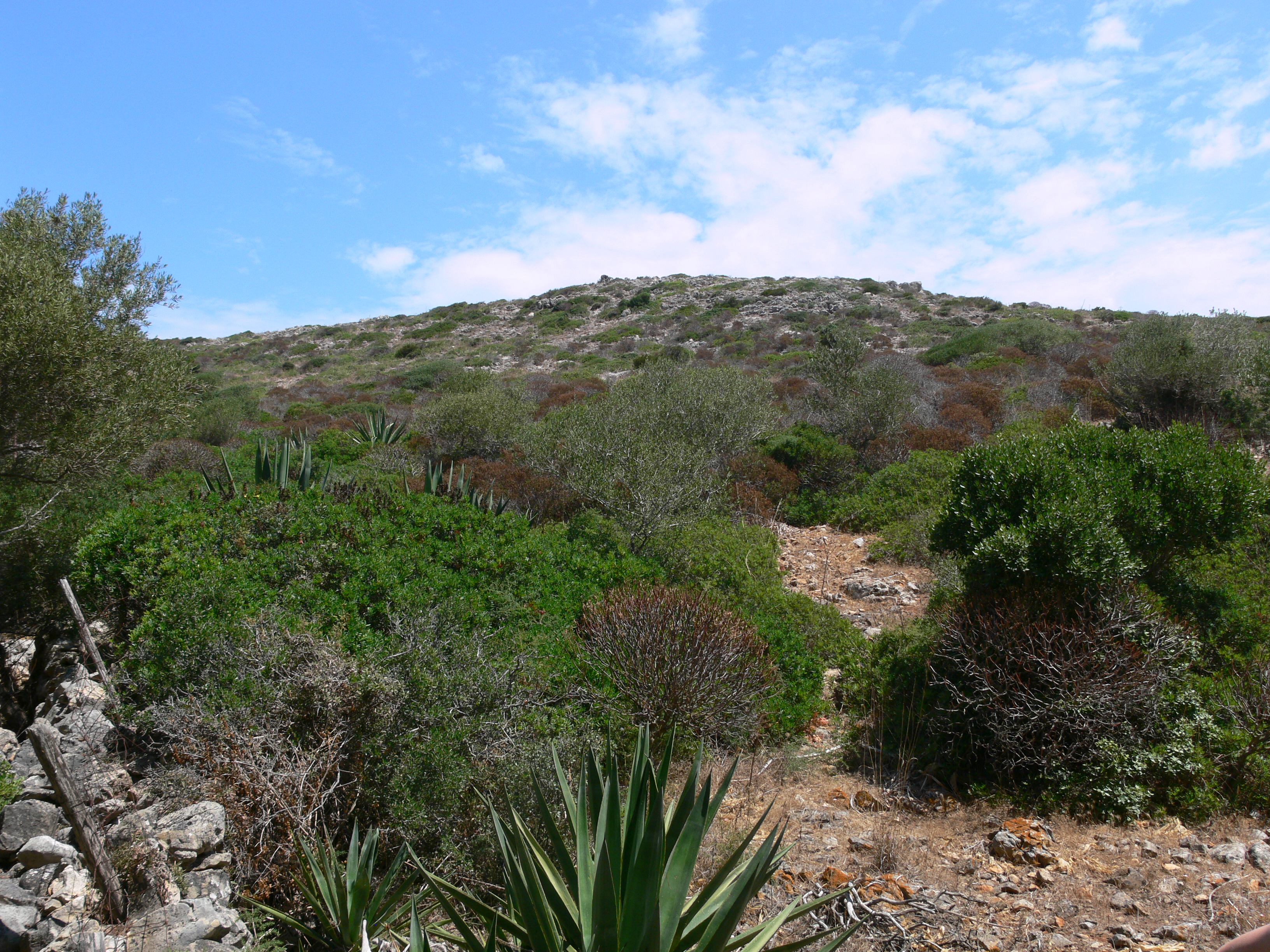 AREA COLLINARE SULL'ISOLA DI LEVANZO | ph. Anna Comi e Irene Grassi  | © ©FAI
