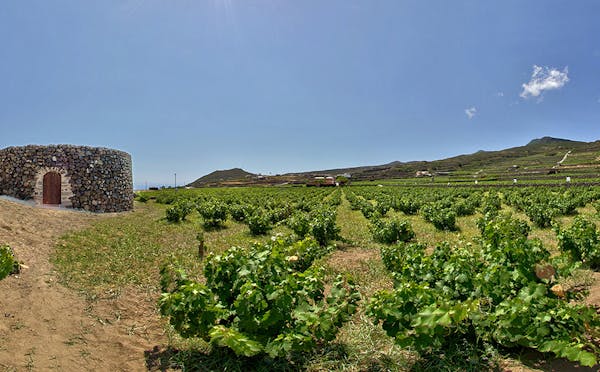 Giardino Pantesco Donnafugata