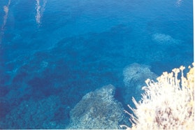 Cala Junco