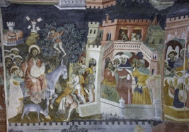 Castello della Manta, Bene FAI a Manta (CN)