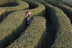 Il labirinto, CASTELLO E PARCO DI MASINO, CARAVINO (TO )