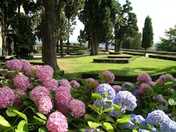 Il Giardino dei Cipressi, CASTELLO E PARCO DI MASINO, CARAVINO (TO ) 