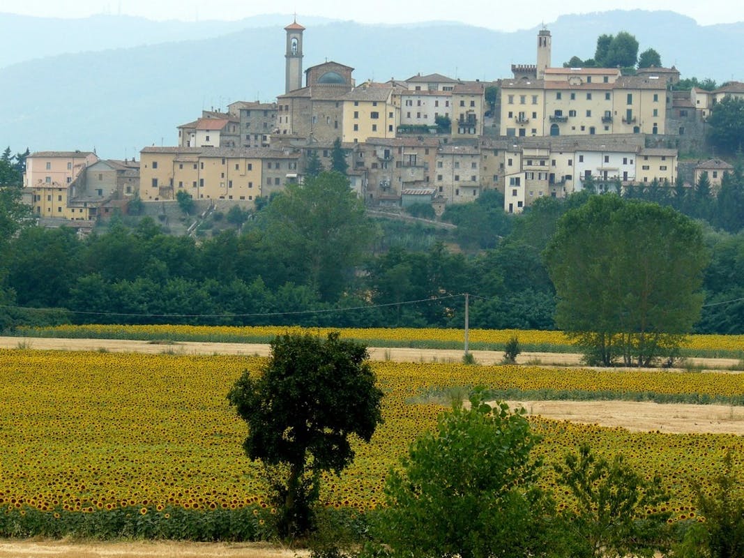 MONTERCHI MADONNA DEL PARTO MONTERCHI MADONNA DEL PARTO