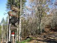 vallombrosa