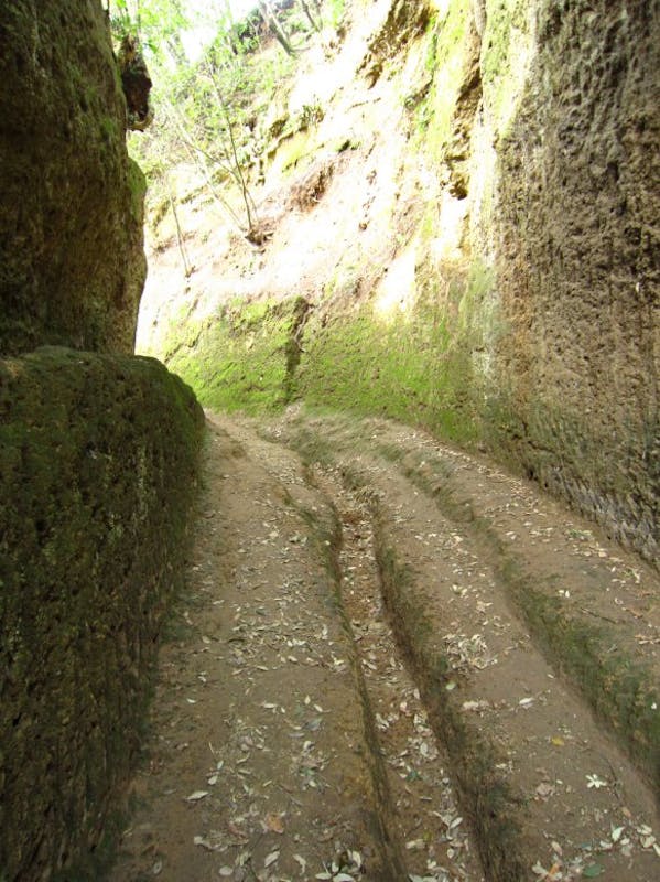 AREA NATURALE DI PITIGLIANO AREA NATURALE DI PITIGLIANO